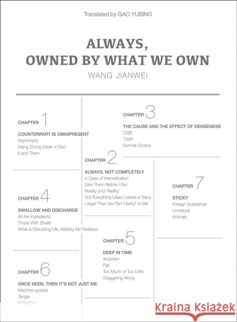 Always, Owned by What We Own Wang Jianwei 9781788842907