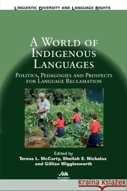 A World of Indigenous Languages: Politics, Pedagogies and Prospects for Language Reclamation McCarty, Teresa L. 9781788923057 Multilingual Matters Limited