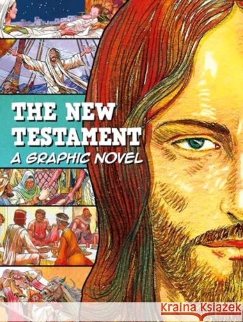 The New Testament: A Graphic Novel Ben Alex 9781788933797
