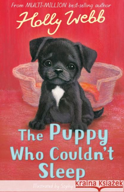 The Puppy Who Couldn't Sleep Holly Webb Sophy Williams  9781788950312 Little Tiger Press Group