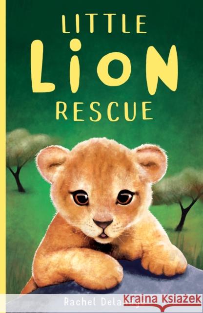 Little Lion Rescue Rachel Delahaye   9781788950688 Little Tiger Press Group