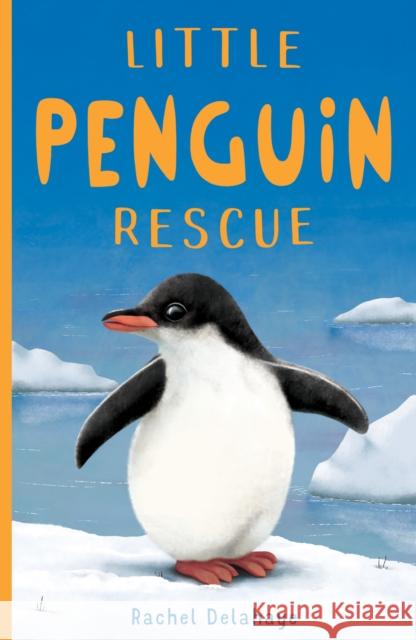 Little Penguin Rescue Rachel Delahaye   9781788950787 Stripes Publishing