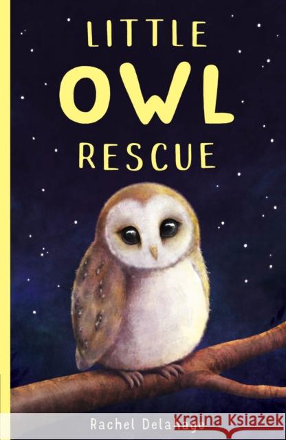 Little Owl Rescue Rachel Delahaye 9781788951852 Little Tiger Press Group