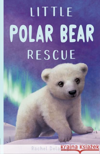 Little Polar Bear Rescue Rachel Delahaye 9781788951869