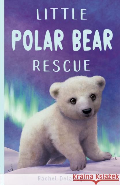 Little Polar Bear Rescue Rachel Delahaye 9781788951869 Little Tiger Press Group