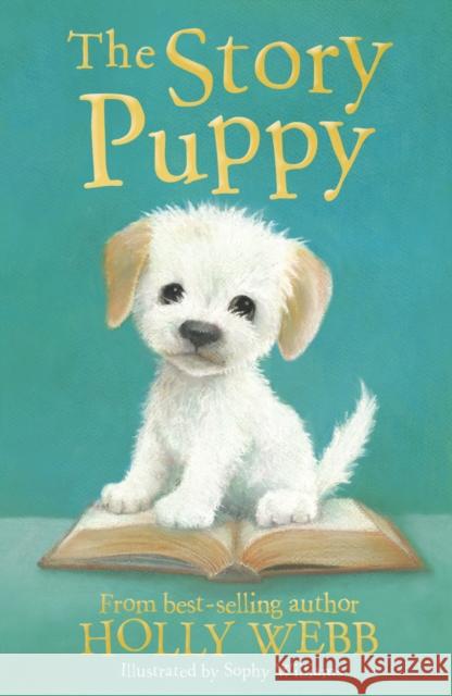 The Story Puppy Holly Webb 9781788952200 Little Tiger Press Group