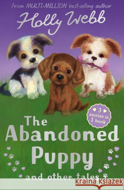 The Abandoned Puppy and Other Tales: The Abandoned Puppy, The Puppy Who Was Left Behind, The Scruffy Puppy Holly Webb 9781788953191