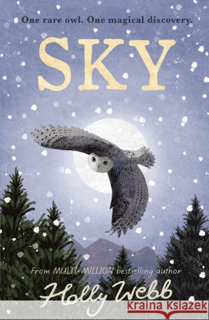 Sky Holly Webb 9781788953283