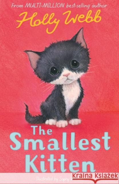 The Smallest Kitten Holly Webb 9781788953894 Little Tiger Press Group