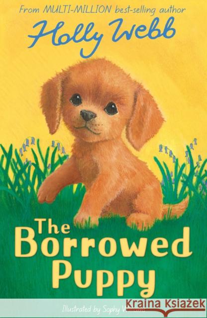 The Borrowed Puppy Holly Webb 9781788955645