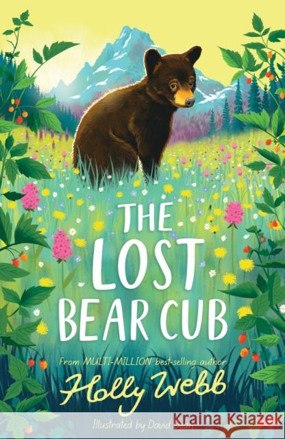 The Lost Bear Cub Holly Webb 9781788956062