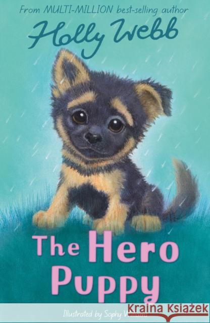 The Hero Puppy Holly Webb 9781788956499 Little Tiger Press Group