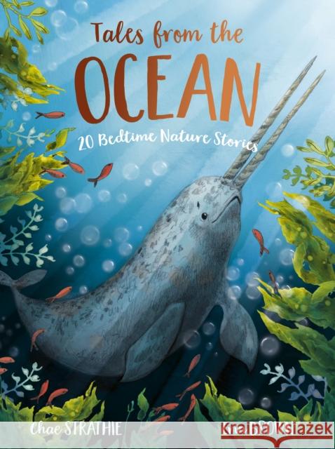 Tales From the Ocean Chae Strathie 9781788957427