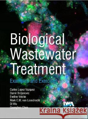 Biological Wastewater Treatment: Principles, Modelling and Design: Examples & Exercises C. M. Lopez-Vazquez Eveline Volcke Di Wu 9781789062298 IWA Publishing (Intl Water Assoc)