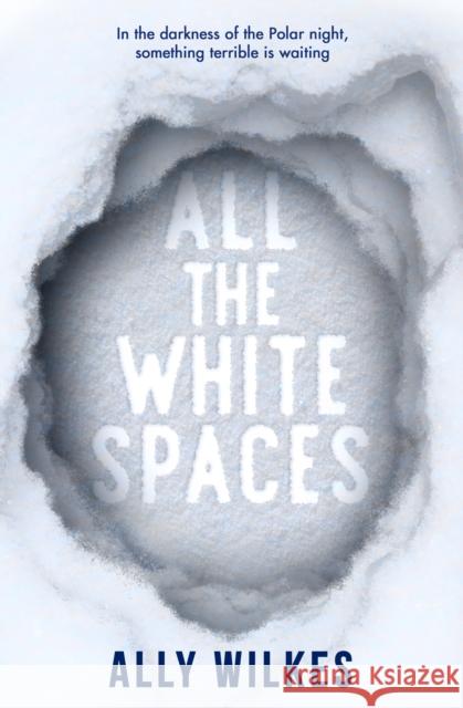 All the White Spaces Ally Wilkes 9781789097832