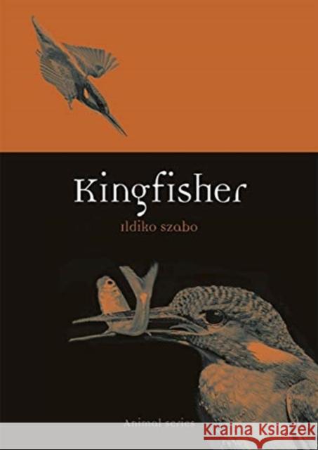 Kingfisher Ildiko Szabo 9781789141399 Reaktion Books