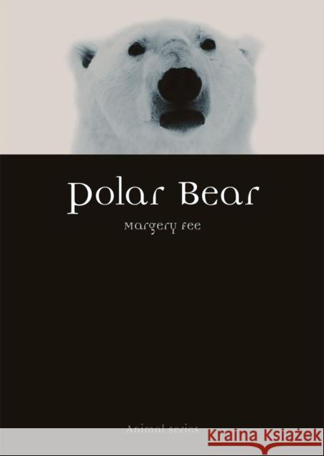 Polar Bear Margery Fee 9781789141467 Reaktion Books