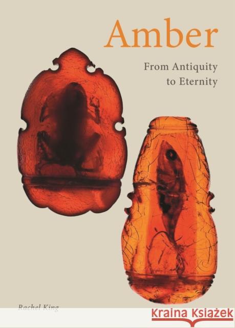 Amber: From Antiquity to Eternity Rachel King 9781789145915 Reaktion Books