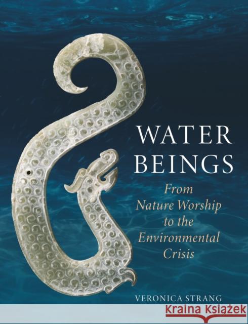 Water Beings: From Nature Worship to the Environmental Crisis Veronica Strang 9781789146882