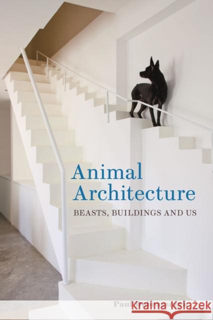 Animal Architecture: Beasts, Buildings and Us Paul Dobraszczyk 9781789146929 Reaktion Books