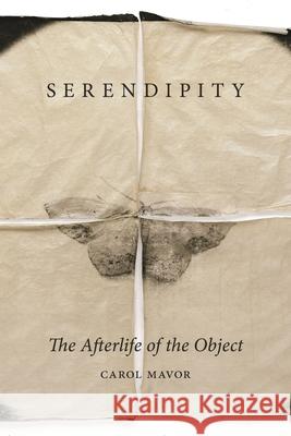 Serendipity: The Afterlife of the Object Carol Mavor 9781789149500 Reaktion Books