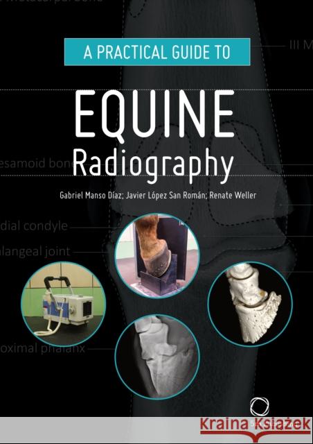 A Practical Guide to Equine Radiography Renate Weller 9781789180145 5M Books Ltd