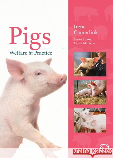 Pigs Welfare in Practice Irene Camerlink 9781789181050 5M Books Ltd