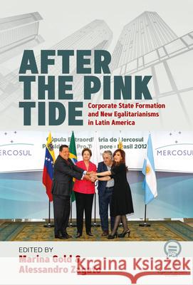 After the Pink Tide: Corporate State Formation and New Egalitarianisms in Latin America Marina Gold Alessandro Zagato 9781789206579 Berghahn Books