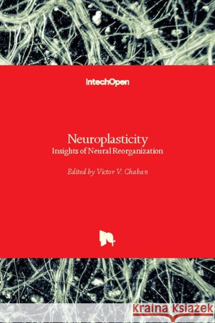 Neuroplasticity: Insights of Neural Reorganization Victor Chaban 9781789231946 Intechopen