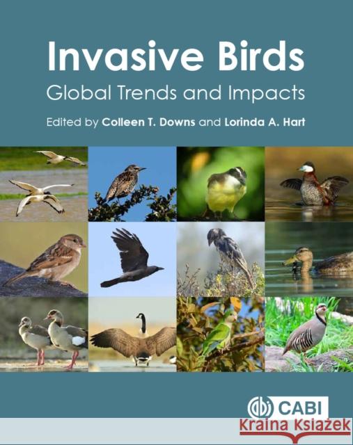 Invasive Birds: Global Trends and Impacts Colleen T. Downs Lorinda A. Hart 9781789242065 Cabi