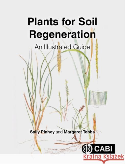 Plants for Soil Regeneration: An Illustrated Guide Sally Pinhey Margaret Tebbs 9781789243604 CABI Publishing