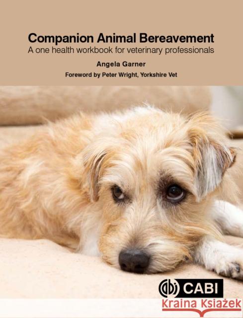 Companion Animal Bereavement: A One Health Workbook for Veterinary Professionals Angela Garner 9781789245370 CABI Publishing