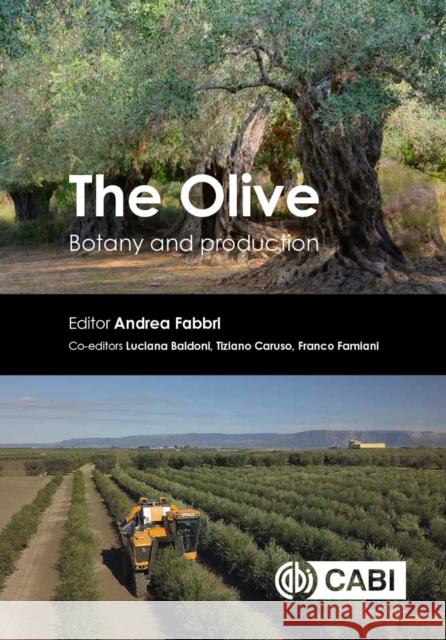 The Olive: Botany and Production Andrea Fabbri Luciana Baldoni Tiziano Caruso 9781789247336 Cabi