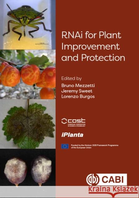 Rnai for Plant Improvement and Protection Bruno Mezzetti Jeremy Sweet Lorenzo Burgos 9781789248890 Cabi
