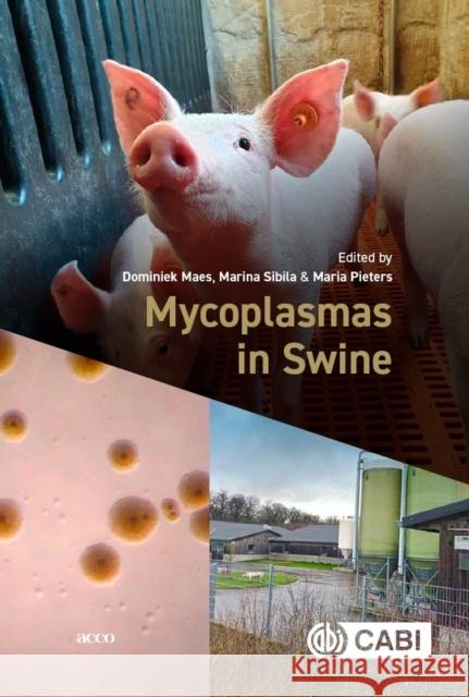 Mycoplasmas in Swine Dominiek Maes (Ghent University, Belgium Marina Sibila (Centre de Recerca en Sani Maria Pieters (University of Minnesota 9781789249941 CABI Publishing