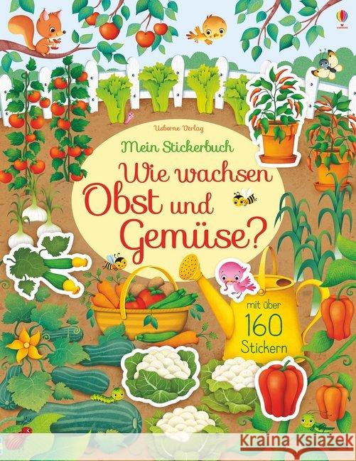 Mein Stickerbuch: Wie wachsen Obst und Gemüse? : Mit über 160 Stickern Watson, Hannah 9781789410563