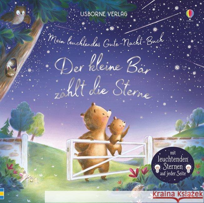 Mein leuchtendes Gute-Nacht-Buch: Der kleine Bär zählt die Sterne : Mit leuchtenden Sternen auf jeder Seite Taplin, Sam 9781789412253 Usborne Verlag