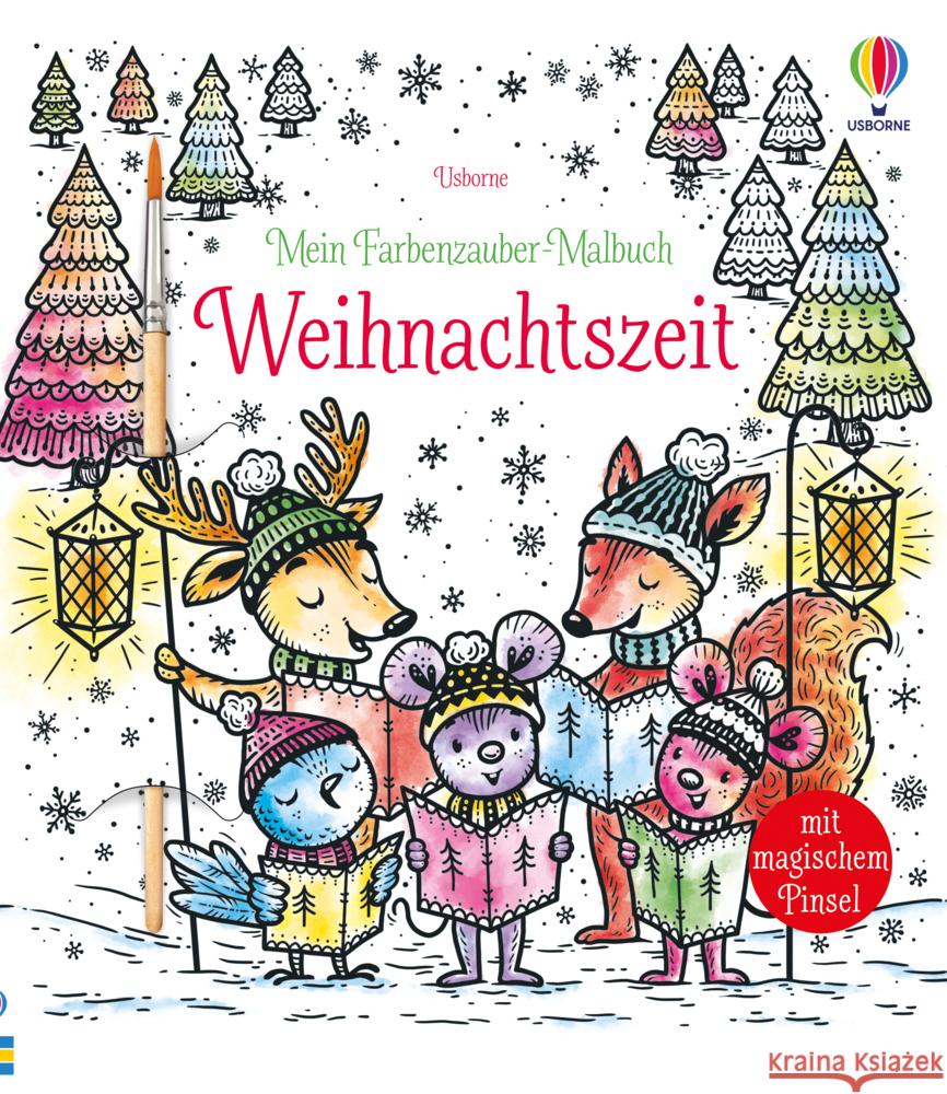 Mein Farbenzauber-Malbuch: Weihnachtszeit Watt, Fiona 9781789414899