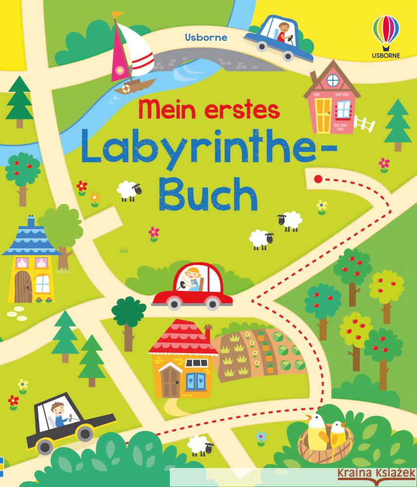 Mein erstes Labyrinthe-Buch Robson, Kirsteen 9781789418828