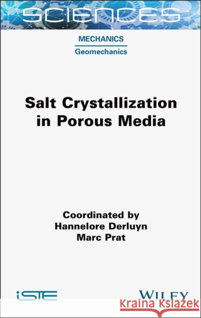 Salt Crystallization in Porous Media Hannelore Derluyn Marc Prat 9781789451146