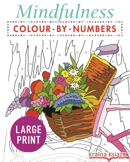 Mindfulness Colour-by-Numbers Large Print Arcturus Publishing   9781789500486