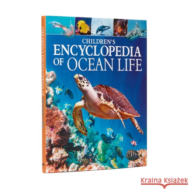Children's Encyclopedia of Ocean Life: A Visual Guide to the Marine Life Claudia Martin 9781789503623 Arcturus Publishing Ltd