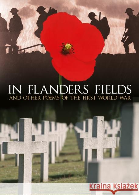 In Flanders Fields Brian Busby   9781789509236