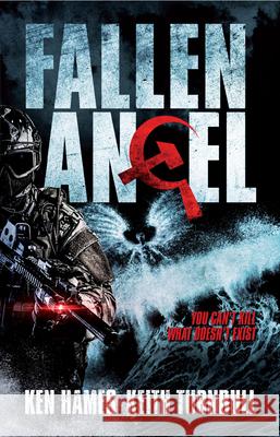 Fallen Angel Keith Turnbull Ken Hames 9781789555110 New Generation Publishing