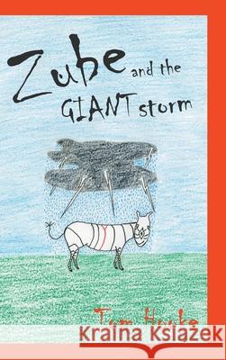 Zube and the Giant Storm Tom Hooke 9781789557923 New Generation Publishing