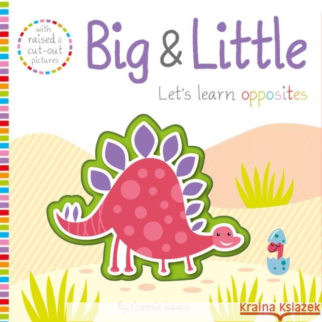 Big & Little Connie Isaacs, Alena Razumova 9781789583779 Imagine That Publishing Ltd