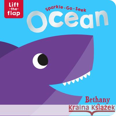 Sparkle-Go-Seek Ocean Katie Button Bethany Carr 9781789585728