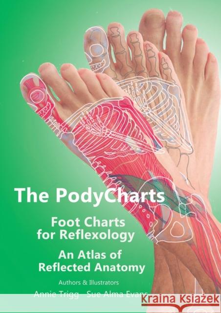 The PodyCharts Foot Charts for Reflexology: An atlas of reflected anatomy Annie Trigg Sue Alm 9781789632293