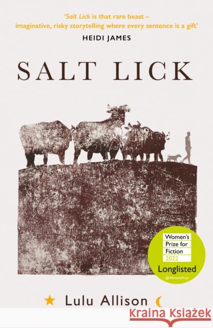 Salt Lick: Longlisted for the Women's Prize for Fiction 2022 Lulu Allison 9781789651317 Unbound