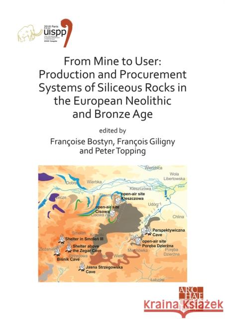 From Mine to User: Production and Procurement Systems of Siliceous Rocks in the European Neolithic and Bronze Age: Proceedings of the XVI Bostyn, Francoise 9781789697117 Archaeopress